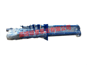液下渣漿泵的常見(jiàn)型號(hào)